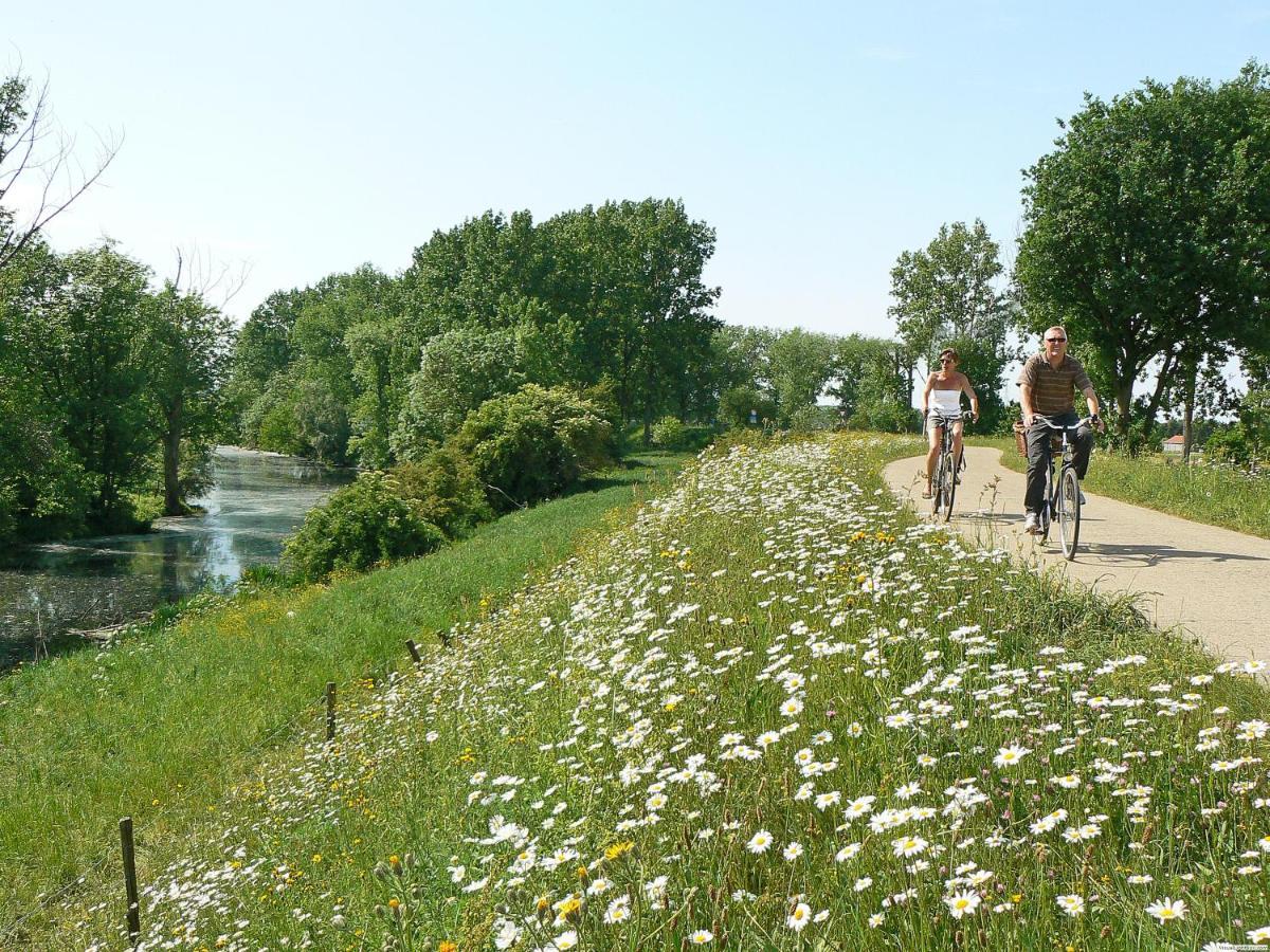 Camping De Binnenvaart Superior Chalet Aan de Wolfsberg Eksteriør bilde